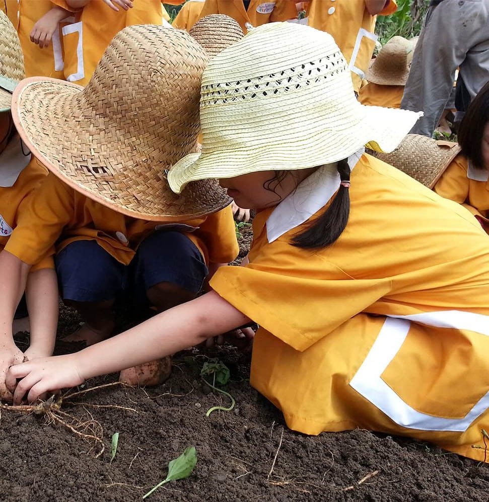 Little Footprints pupils in straw hats planting in the garden on a field trip